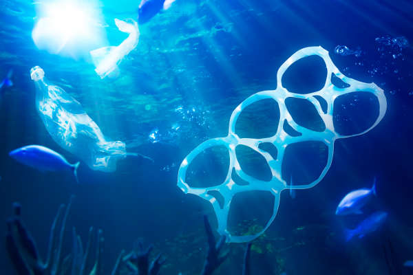 plastic pollution sea marinesmall